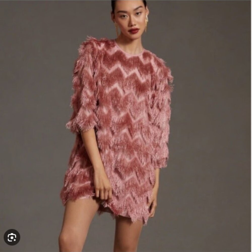 HUTCH x Anthropologie Fringe Chevron Mini Dress Pink Small Long Sleeves mini